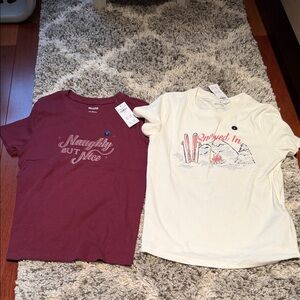 Hollister Always Cozy knit tees